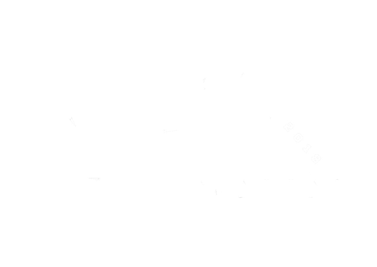 Официальный логотип FR-moto